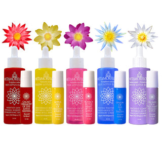 Lotus Flower Royal Treatment Set of Ten