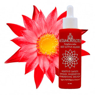 Red Lotus Spagyric Elixir
