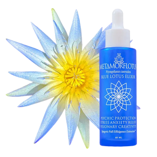 True Blue Lotus Spagyric Elixir