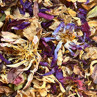 Rainbow Lotus Prophecy of Awakened Humanity Flower Tea