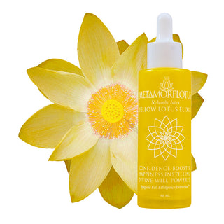 Yellow Lotus Spagyric Elixir