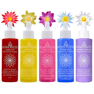 Full Lotus Spagryic Elixir Quintet Set