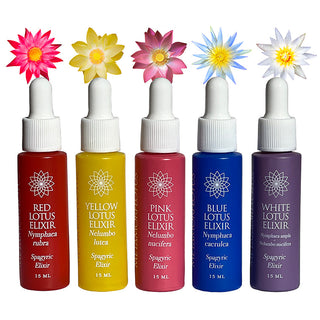 Full Lotus Spagryic Elixir Quintet Samples Set